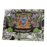 Auto Bruce Banner 3+1 Sweet Seeds - Imagen 2