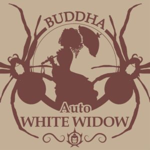 Auto White Widow 3+1 Buddha Seeds